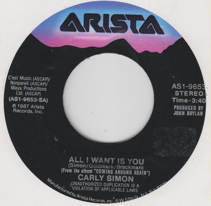 Carly Simon : All I Want Is You (7", Single, Styrene)