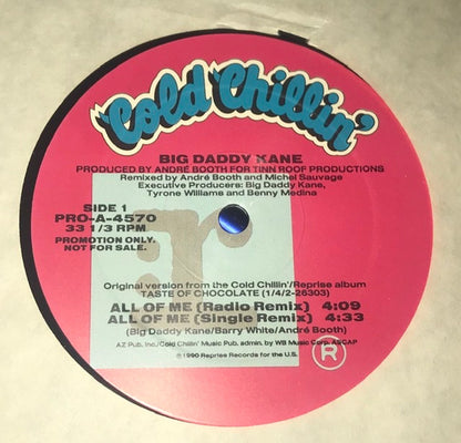 Big Daddy Kane Featuring Barry White : All Of Me (12", Promo)