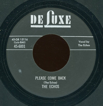 The Echos (4) : Please Come Back / All That Wine Is Gone (7", Unofficial)