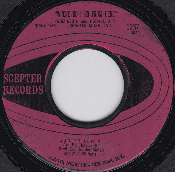 Junior Lewis (4) : Raise Your Hand / Where Do I Go From Here (7", Single, Styrene)