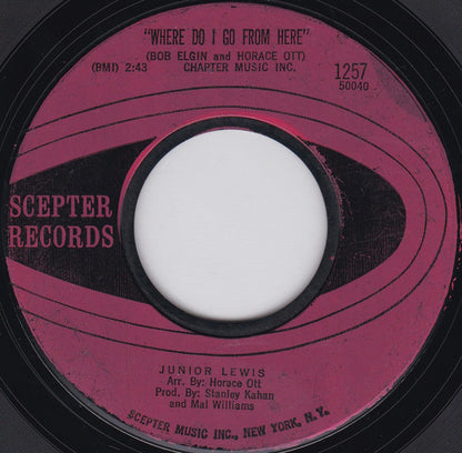 Junior Lewis (4) : Raise Your Hand / Where Do I Go From Here (7", Single, Styrene)