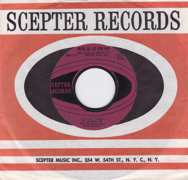 Junior Lewis (4) : Raise Your Hand / Where Do I Go From Here (7", Single, Styrene)