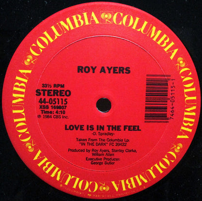 Roy Ayers : In The Dark (12")