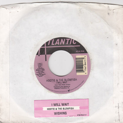 Hootie & The Blowfish : I Will Wait / Wishing (7")