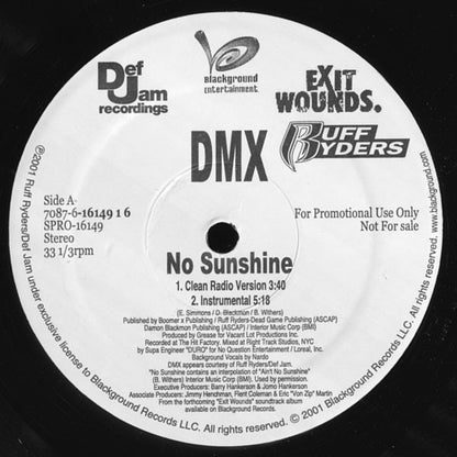 DMX : No Sunshine (12", Promo)