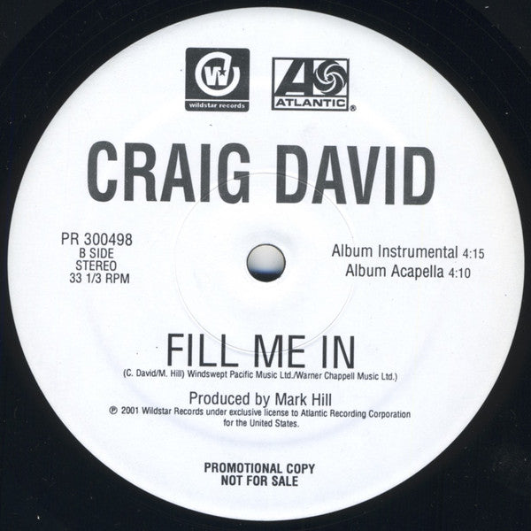 Craig David : Fill Me In (12", Promo)