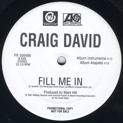 Craig David : Fill Me In (12", Promo)