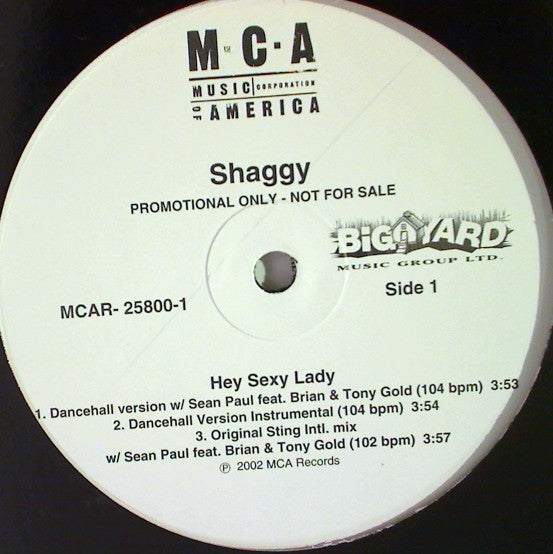 Shaggy : Hey Sexy Lady (12", Promo)