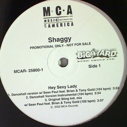 Shaggy : Hey Sexy Lady (12", Promo)