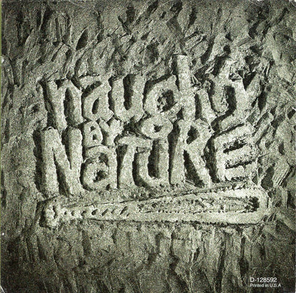 Naughty By Nature : Nineteen Naughty Nine - Nature's Fury (CD, Album, Club, BMG)