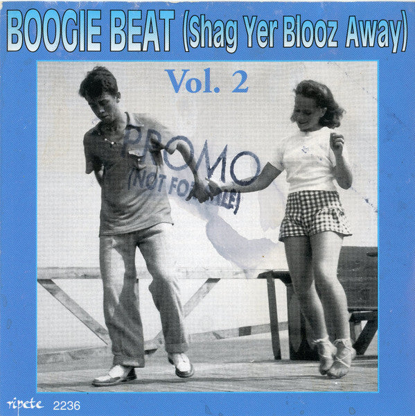 Various : Boogie Beat (Shag Yer Blooz Away) Vol. 2 (CD, Comp)