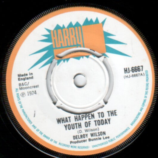 Delroy Wilson : What Happen To The Youth Of Today (7", Single)