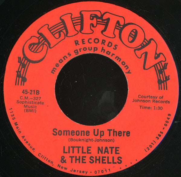 The Shells / The Shells : Will You Miss Me / Someone Up There (7")