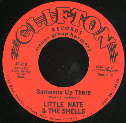 The Shells / The Shells : Will You Miss Me / Someone Up There (7")
