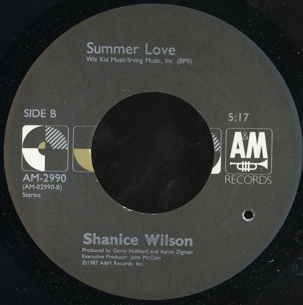 Shanice Wilson : No 1/2 Steppin' (7")