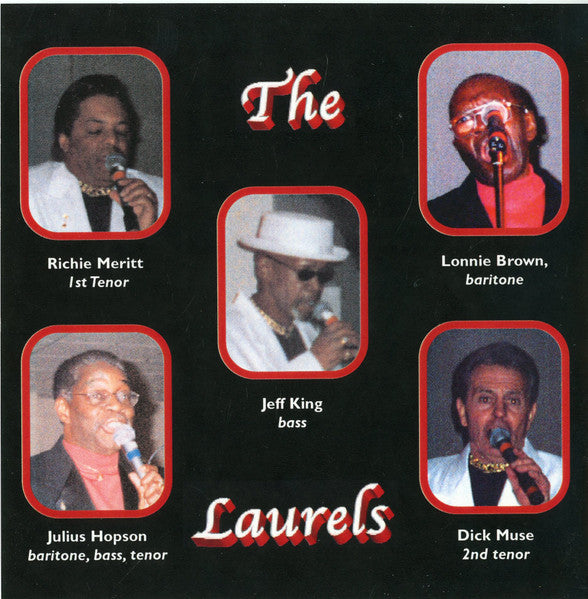 Laurels (2) : The Nite Something Got A Hold Of The Laurels (CDr, Comp)