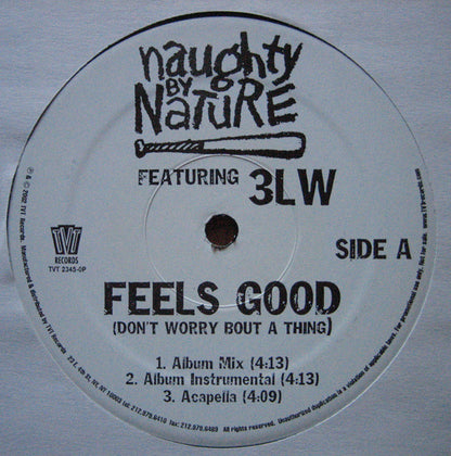 Naughty By Nature Featuring 3LW : Feels Good (Don't Worry Bout A Thing) (12")