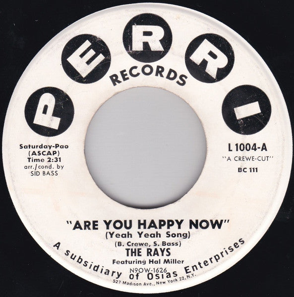 The Rays (2) Featuring Hal Miller : Are You Happy Now (Yeah Yeah Song) / Bright Brown Eyes (7", Single)