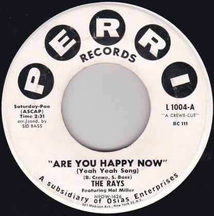 The Rays (2) Featuring Hal Miller : Are You Happy Now (Yeah Yeah Song) / Bright Brown Eyes (7", Single)