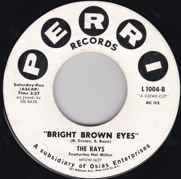 The Rays (2) Featuring Hal Miller : Are You Happy Now (Yeah Yeah Song) / Bright Brown Eyes (7", Single)