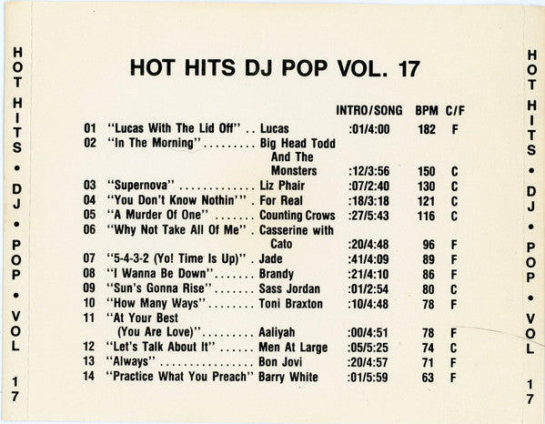 Various : Hot Hits DJ Pop Vol 17 (CD, Comp)