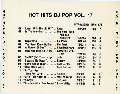 Various : Hot Hits DJ Pop Vol 17 (CD, Comp)