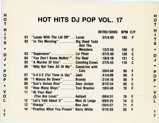 Various : Hot Hits DJ Pop Vol 17 (CD, Comp)