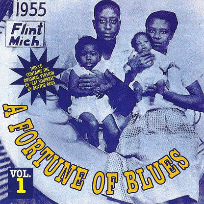 Various : A Fortune Of Blues Vol. 1 (CD, Comp)