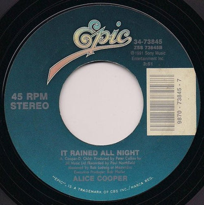 Alice Cooper (2) : Hey Stoopid (7", Single, Styrene)
