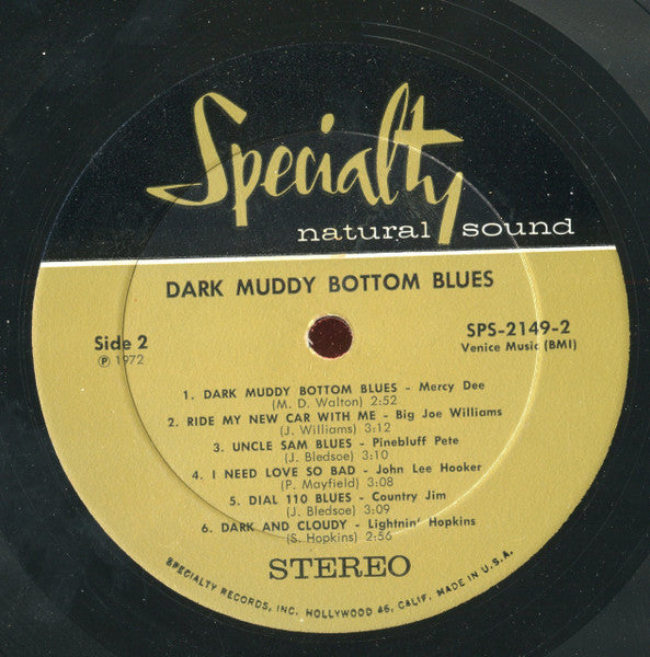 Various : Dark Muddy Bottom Blues (LP, Album, Comp)