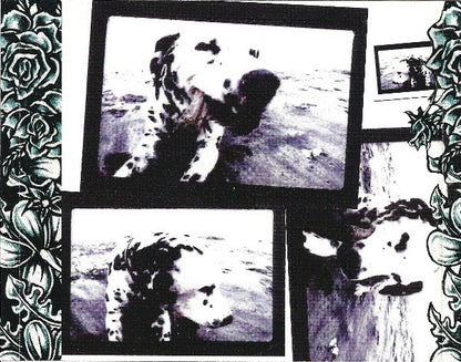 Sublime (2) : What I Got: The 7 Song EP (CD, EP, Club, CRC)