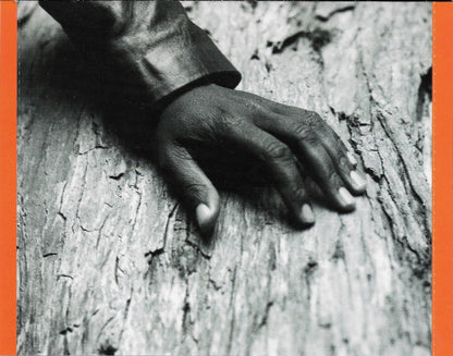 Tracy Chapman : Collection (CD, Comp)