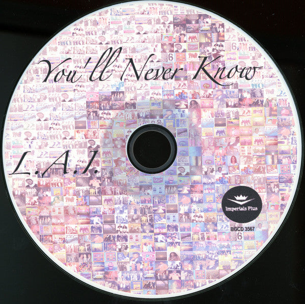 LAI* : You'll Never Know (CDr, Album)