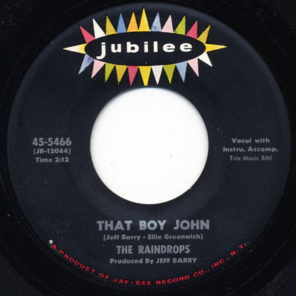 The Raindrops : That Boy John / Hanky Panky (7", Single)