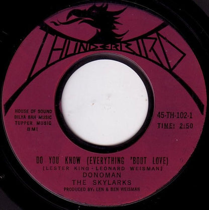 Donoman : Do You Know (Everything 'Bout Love) / Here Comes The Fool (7", Styrene)