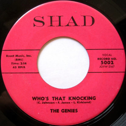 The Genies : The First Time (7", Single, Roc)