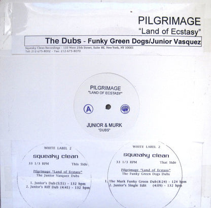 Pilgrimage : Land Of Ecstasy (The Dubs - Funky Green Dogs/Junior Vasquez) (12", Promo, W/Lbl)