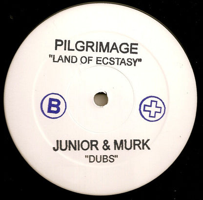 Pilgrimage : Land Of Ecstasy (The Dubs - Funky Green Dogs/Junior Vasquez) (12", Promo, W/Lbl)