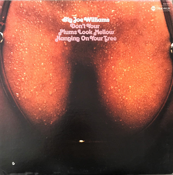 Big Joe Williams : Don't Your Plums Look Mellow Hanging On Your Tree (LP, Album)