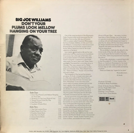 Big Joe Williams : Don't Your Plums Look Mellow Hanging On Your Tree (LP, Album)