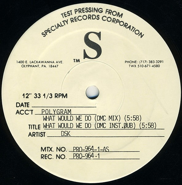 DSK : What Would We Do (12", TP)
