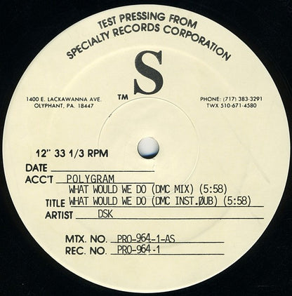 DSK : What Would We Do (12", TP)