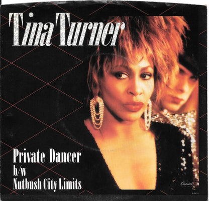 Tina Turner : Private Dancer  (7", Single, Promo)