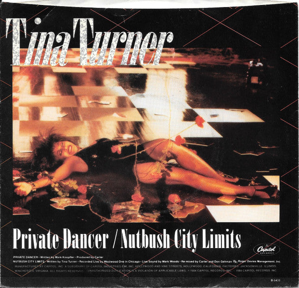 Tina Turner : Private Dancer  (7", Single, Promo)