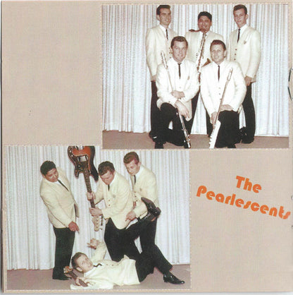 Various : Strictly Instrumental Vol. 4 (CD, Comp)