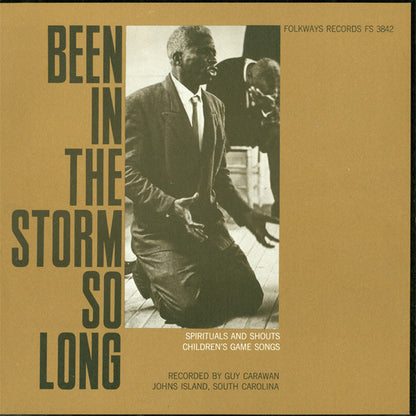 Various : Been In The Storm So Long (LP)