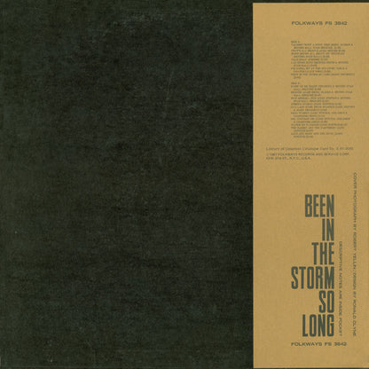 Various : Been In The Storm So Long (LP)