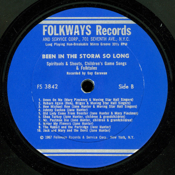 Various : Been In The Storm So Long (LP)