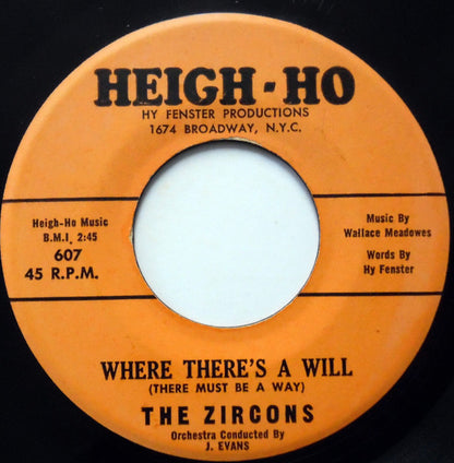 The Zircons : Don't Put Off For Tomorrow (7")