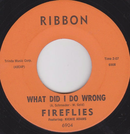 The Fireflies : I Can't Say Goodbye / What Did I Do Wrong (7", Single)